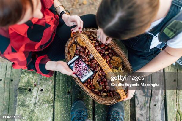 friends taking photo of basket of chestnuts with cellphone - camisa castanha imagens e fotografias de stock