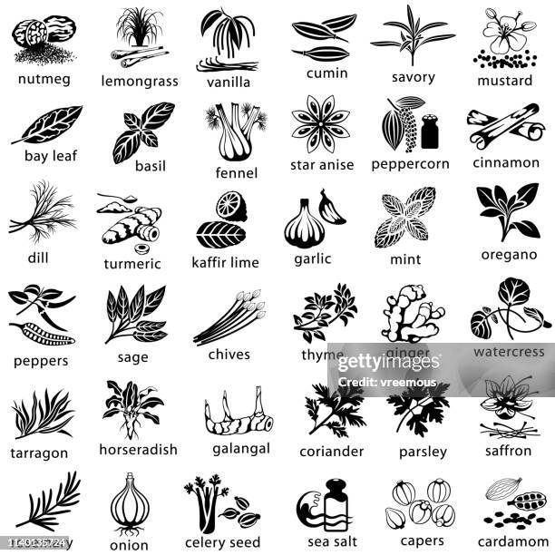 stockillustraties, clipart, cartoons en iconen met koken kruiden en specerijen iconen - lemongrass