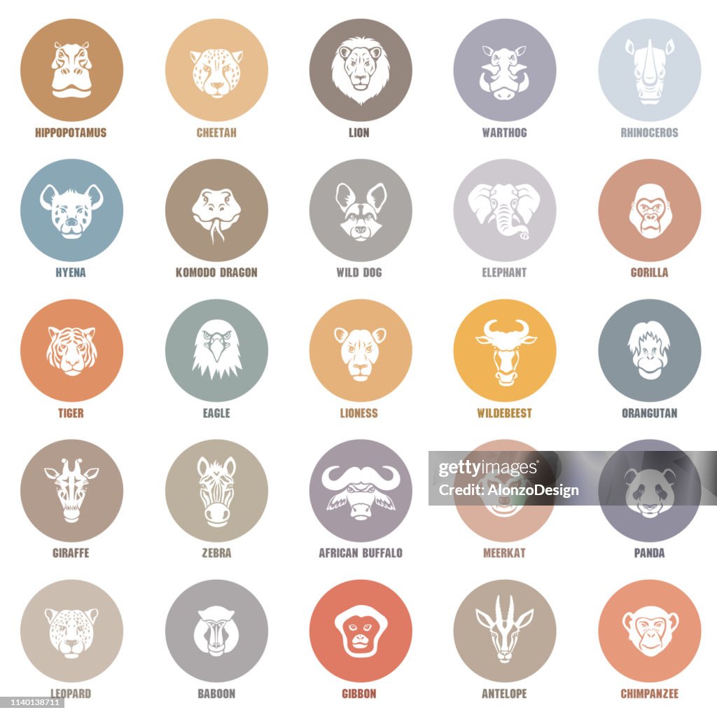 African Animal Icon Set