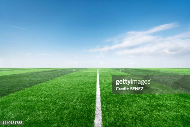 football field - campo de râguebi imagens e fotografias de stock