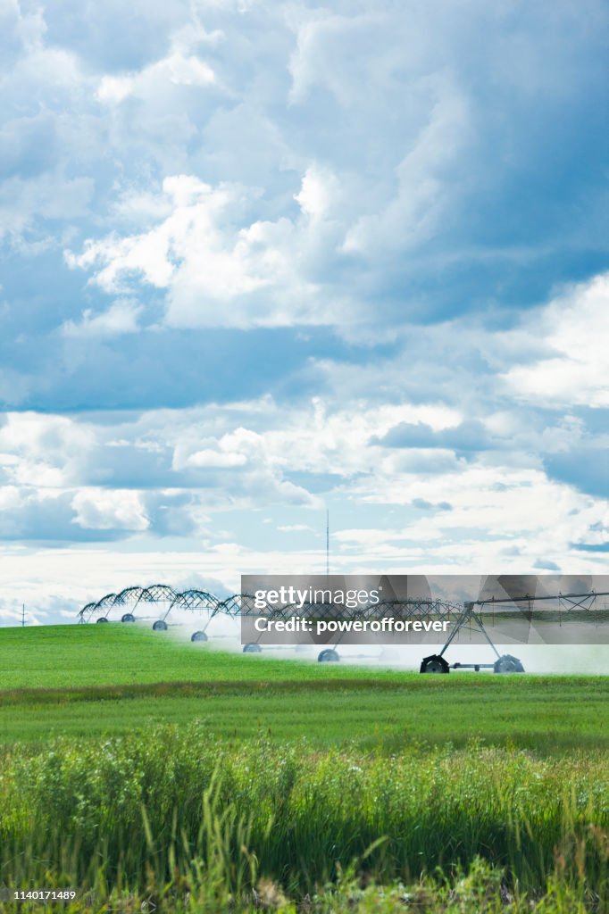 Agricultural Sprinklers Watering a Field in Rural Alberta, Canada