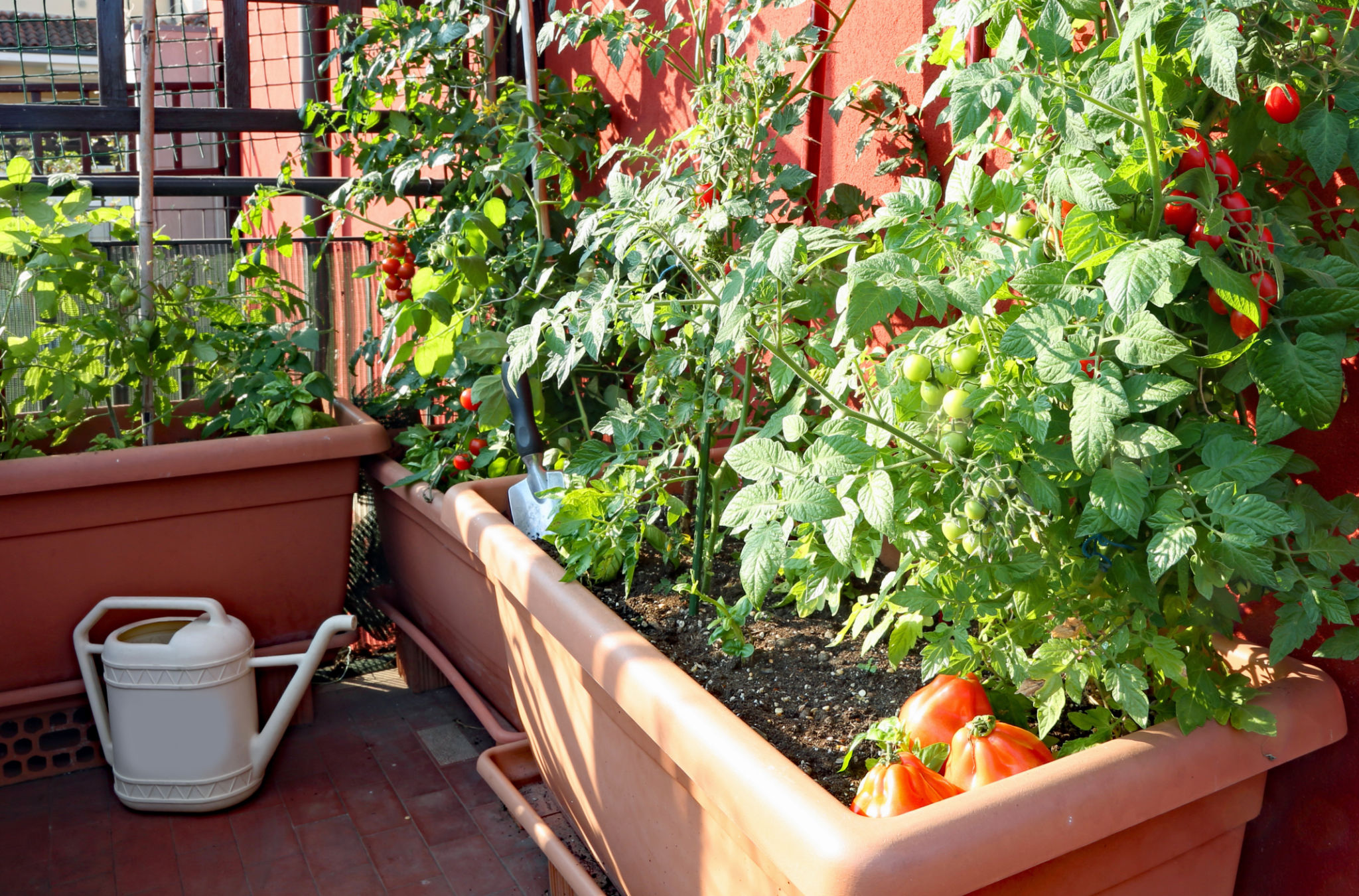 balcony garden
