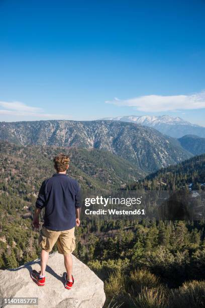 usa, california, bear mountain, man on viewpoint - vertigo stock pictures, royalty-free photos & images