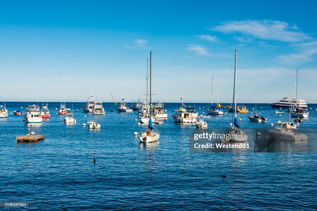 USA, California, Channel islands, Santa Catalina Island, Bay of Avalon