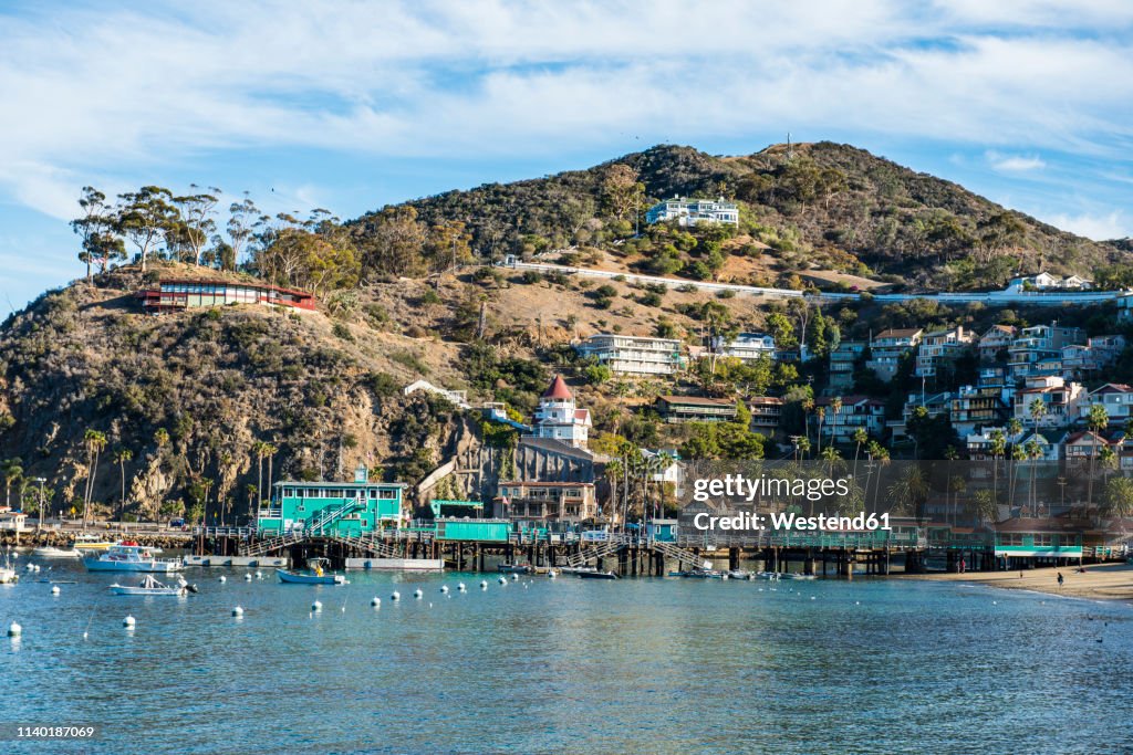 USA, California, Channel islands, Santa Catalina Island, Avalon