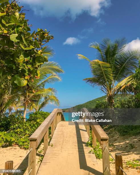 beach walkway in puerto rico - san juan imagens e fotografias de stock