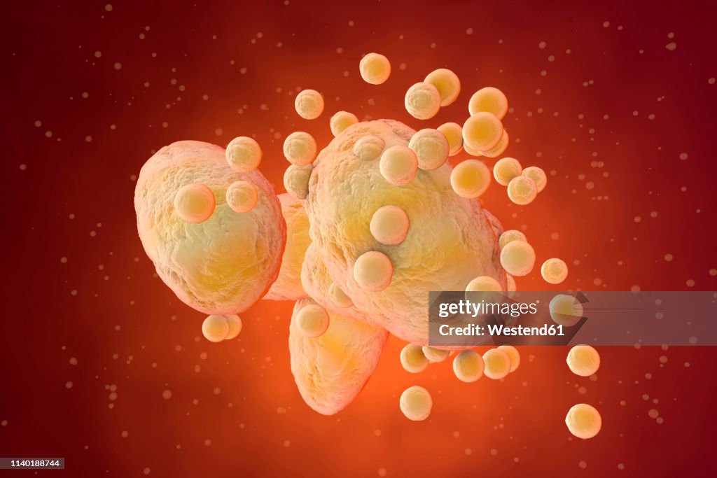 3D Rendered Illustration, visualisation of fat cells clogging together in the human body