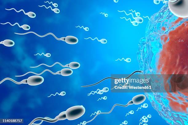 ilustrações, clipart, desenhos animados e ícones de 3d rendered illustration, visualisation of sperm cells racing to a egg to fertilise - figura masculina