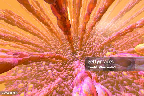 illustrazioni stock, clip art, cartoni animati e icone di tendenza di 3d rendered illustration, visualisation of the human intestinal villi and the the metabolism - primissimo piano
