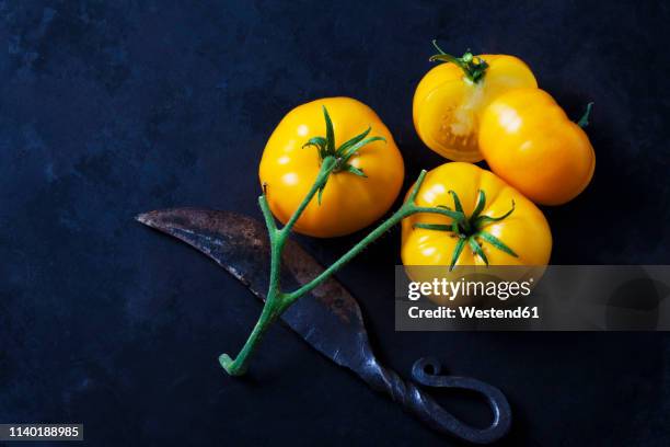 whole and sliced azoychka tomatoes and an old knife on dark ground - tomate amarillo fotografías e imágenes de stock