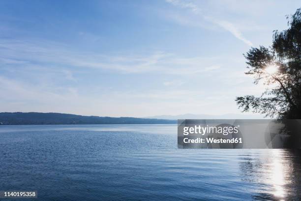 switzerland, canton zurich, lake zurich, region richterswil, view towards raperswil - lake zurich switzerland stock pictures, royalty-free photos & images