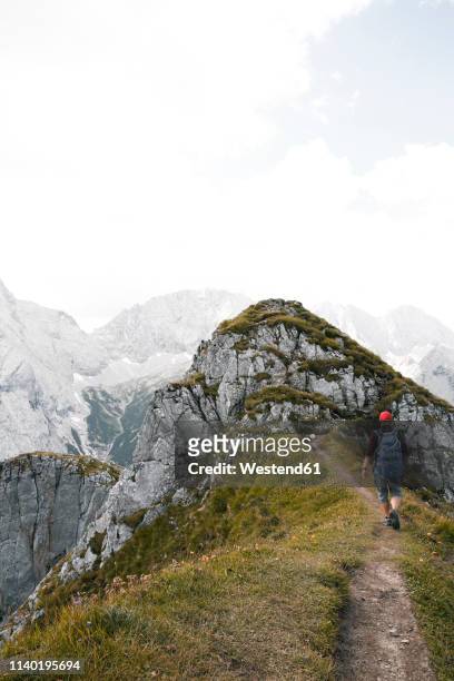 austria, tyrol, man hiking on mountain trail - gebirgskamm stock-fotos und bilder