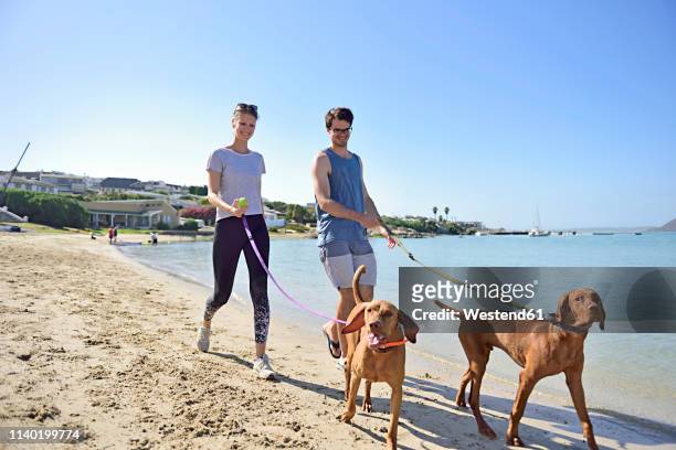 young couple walking on the beach with dog - two dogs stock-fotos und bilder