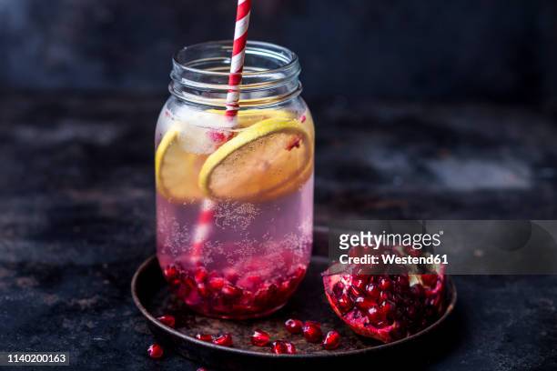 fruit infused water with lemon slices, crushed pomegranate seeds and sparkling water - lemon soda fotografías e imágenes de stock