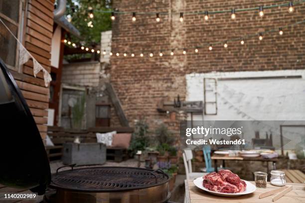 barbecue in a backyard, steaks on a plate - backyard bbq imagens e fotografias de stock