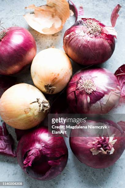 still life of red and white onions - onion stock pictures, royalty-free photos & images