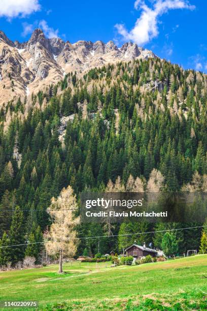 small wood house between dolomites mountains - soraga stock pictures, royalty-free photos & images