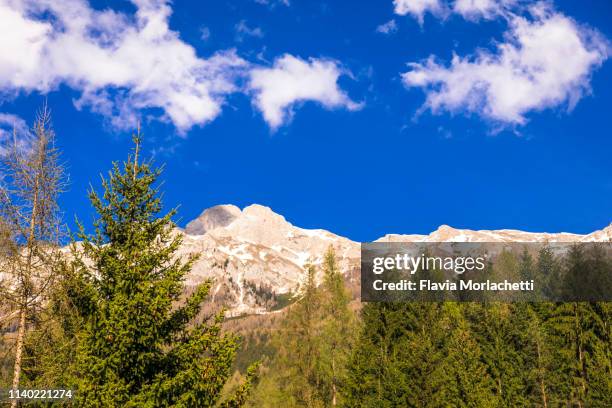 dolomites mountains rural scene - soraga stock pictures, royalty-free photos & images