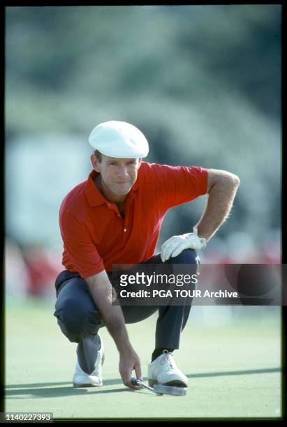 Larry Nelson 1991 PGA TOUR Photo by Sam Greenwood/PGA TOUR Archive