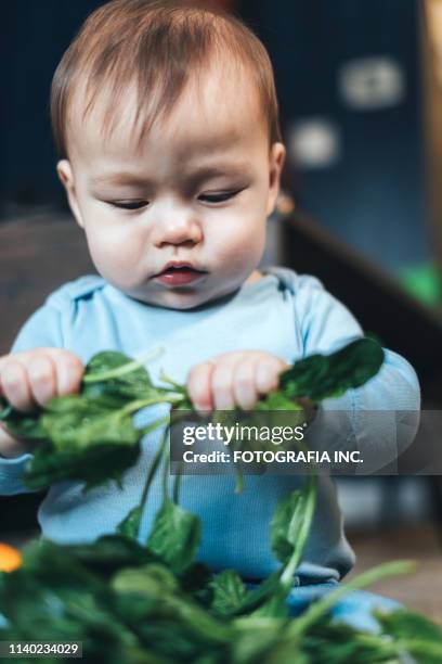 baby boy mit frischem obst und gemüse - fresh baby spinach stock-fotos und bilder