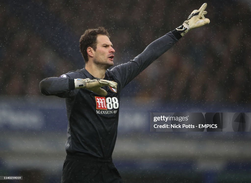 Everton v AFC Bournemouth - Premier League - Goodison Park