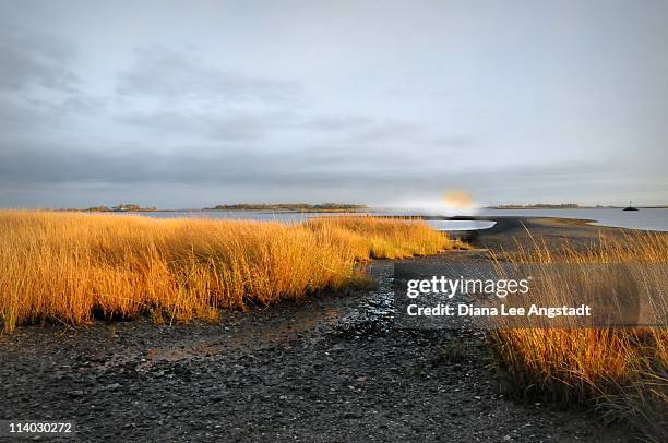 sundown in the marsh - norwalk ct stock pictures, royalty-free photos & images