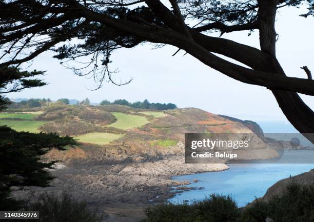 paysage breton mer et falaises - paysage voyage stock pictures, royalty-free photos & images