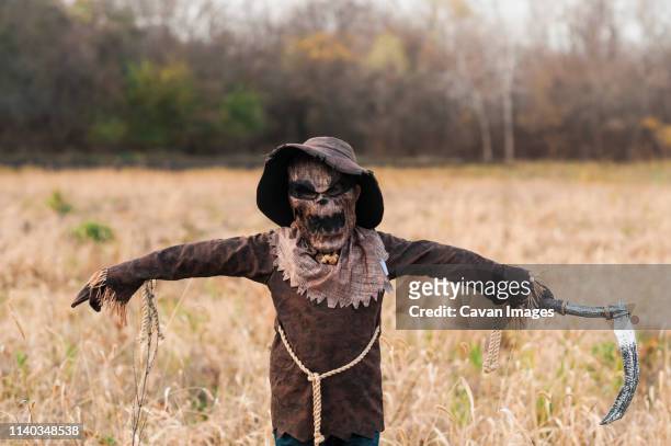 boy dressed in spooky scarecrow halloween costume stands in field - scarecrow agricultural equipment stock-fotos und bilder