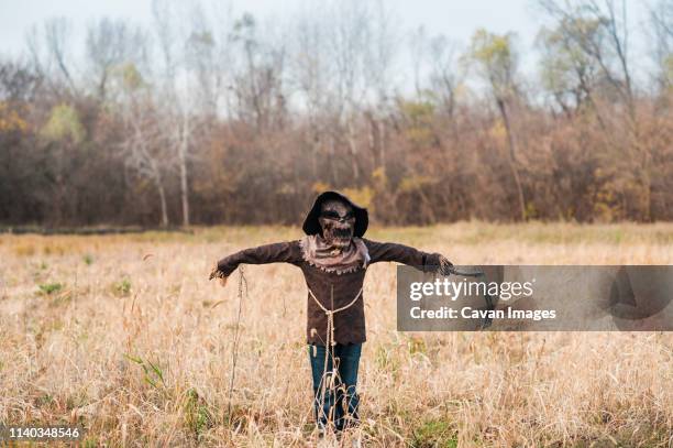 boy poses in scarecrow halloween costume in field - scarecrow faces stockfoto's en -beelden