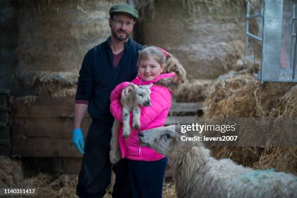 bauer und seine tochter während der lambiersaison. - irish family stock-fotos und bilder