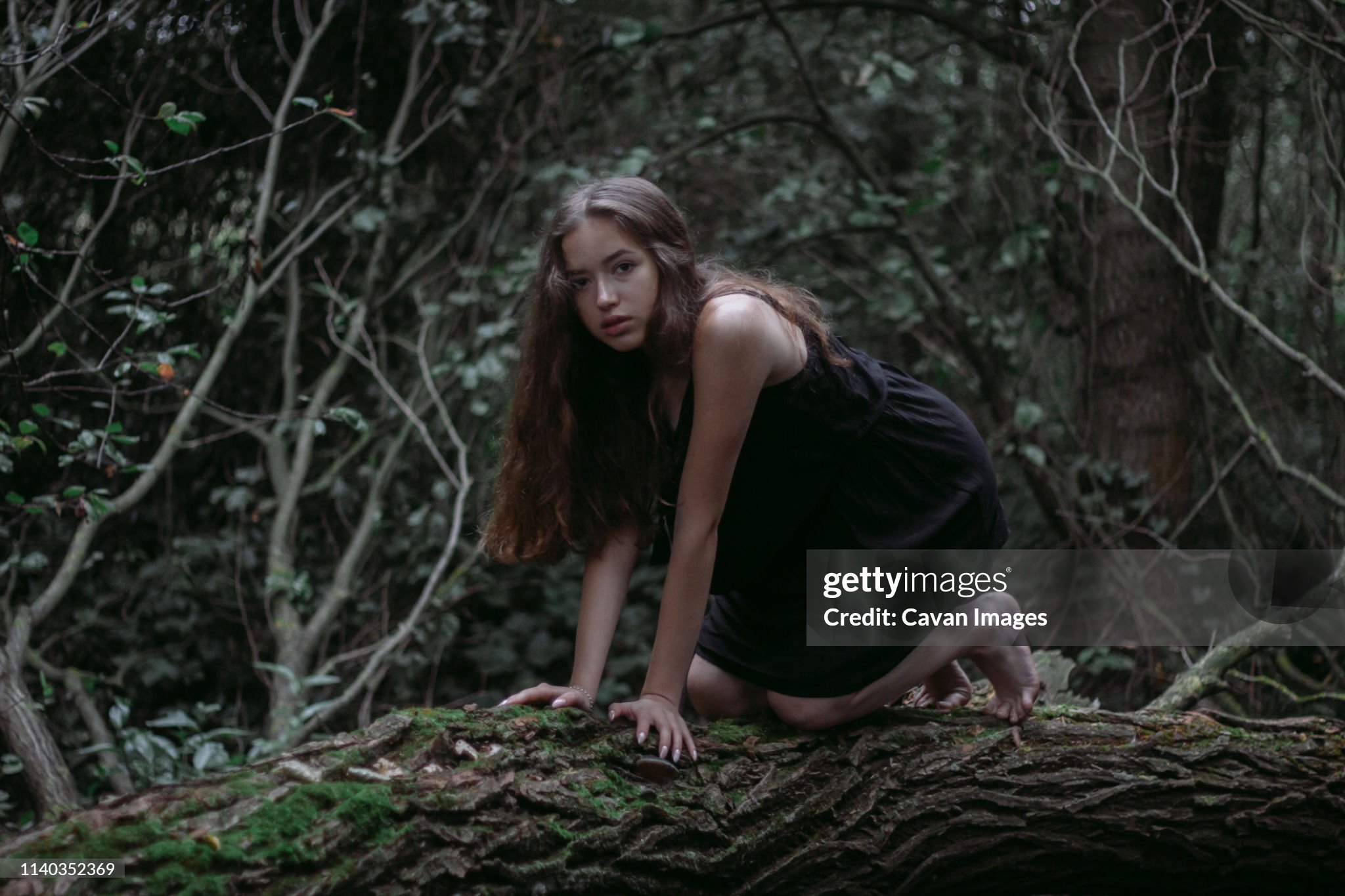 https://media.gettyimages.com/id/1140352369/photo/girl-crawling-on-a-tree-on-her-knees.jpg?s=2048x2048&amp;w=gi&amp;k=20&amp;c=qAsWu-PMd_JAOee-Nyoeln4gOAloV5qaWuLaNbr0ubc=