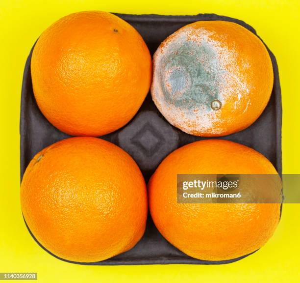 Die Rotten 766 Die Mold Stock Photos, High-Res Pictures, and Images - Getty Images