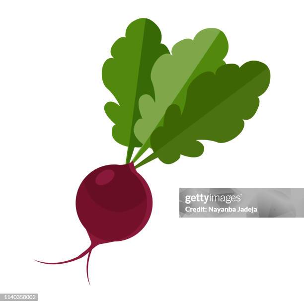 ilustrações de stock, clip art, desenhos animados e ícones de beetroot icon - beterraba tubérculo