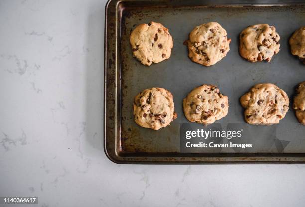 freshly baked chocolate chip cookies cooling on a sheet pan shot from - tulband stockfoto's en -beelden