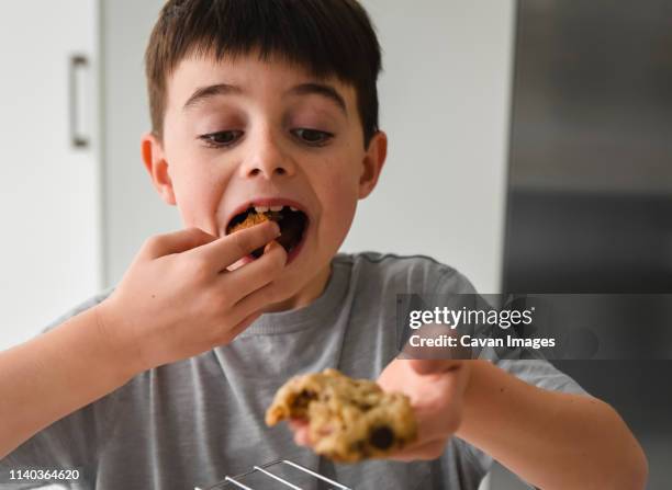 young boy eating a freshly baked chocolate chip cookiein a kitchen - eating cookies foto e immagini stock