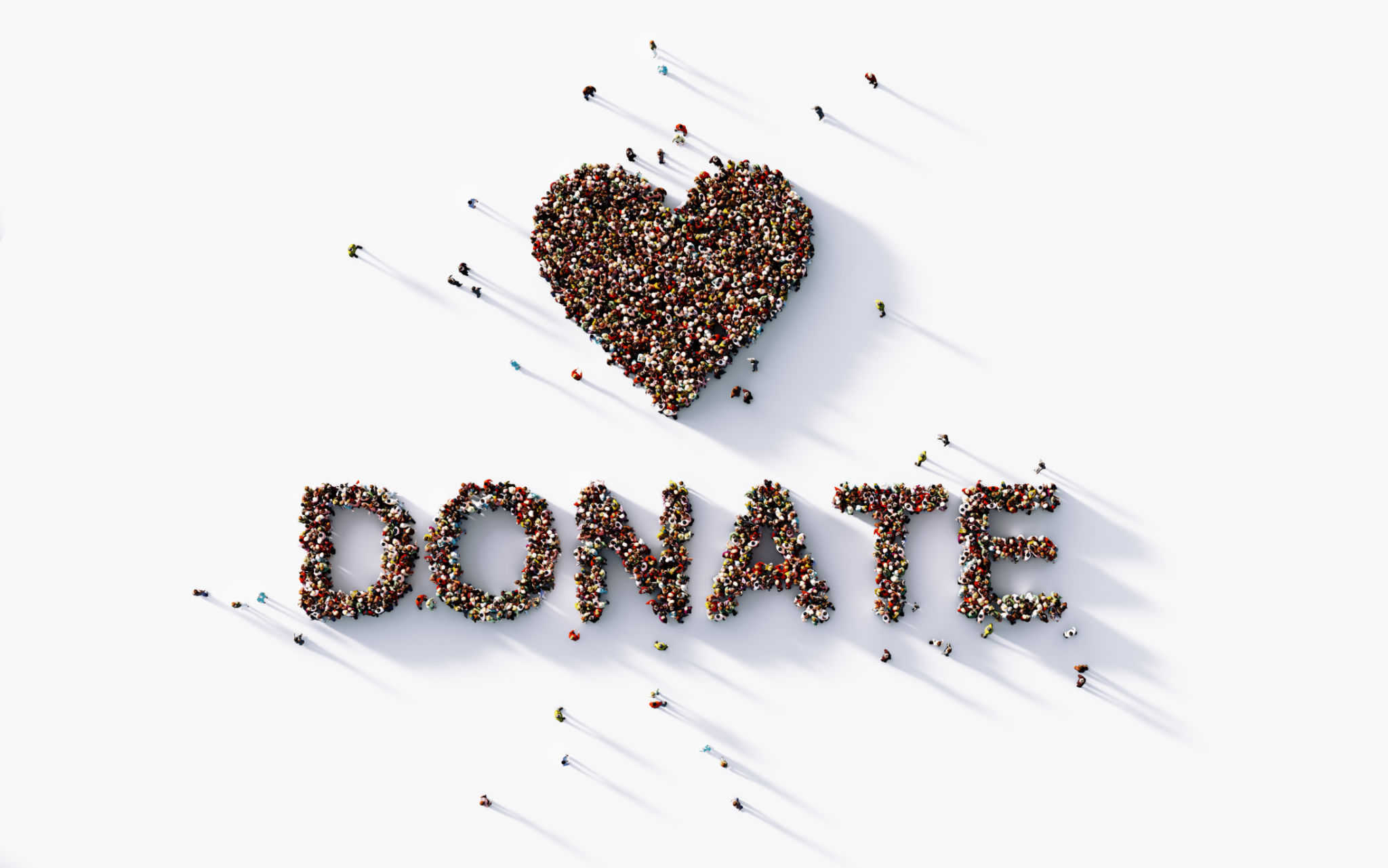 donate conservation project