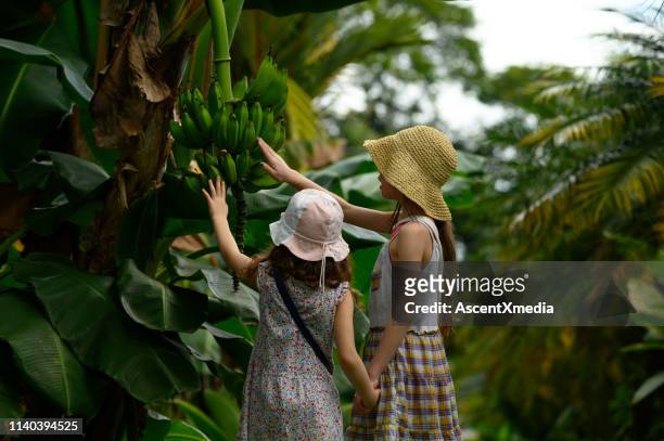 family vacation in a tropical climate - costa rica stock pictures, royalty-free photos & images