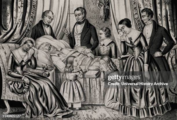 Andrew Jackson Rip 1,374 President Andrew Jackson Stock Photos, High-Res Pictures, and ...