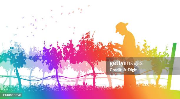 agriculture grapes rainbow - winery stock illustrations