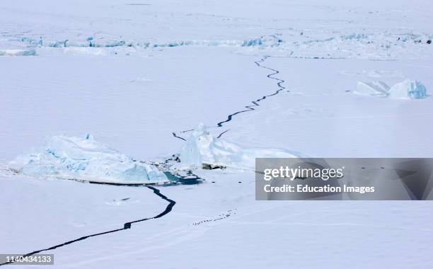 Aerial view of sea ice around Snow Hill Island, showing lead and small group of Emperor Penguins, Antarctica.