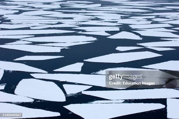 Broken pack ice or Brash Ice, in Weddell Sea, Antarctic.