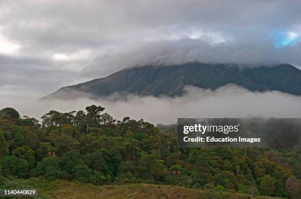 Montane rainforest and grassland at Tari Gap, 9000ft, Southern Highlands, Papua New Guinea.