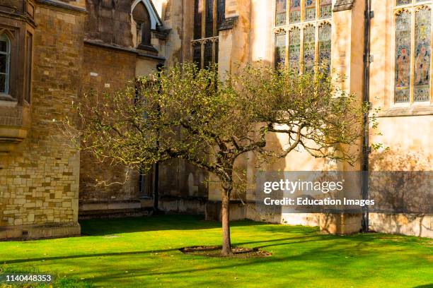 69 Isaac Newton Tree Stock Photos High Res Pictures And Images 69-isaac-newton-tree-stock-photos-high-res-pictures-and-images