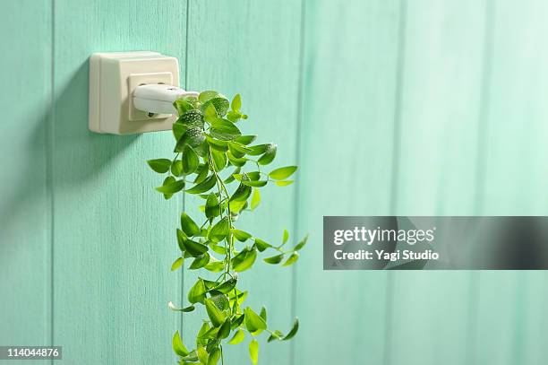 the outlet plug of the green cable and outlet jack - energy efficient imagens e fotografias de stock