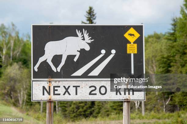 Moose crossing sign on the Trans- Canada Highway, Ontario, Canada. .