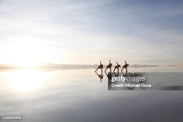 group of people doing yoga poses outside - sunrise yoga stock-fotos und bilder