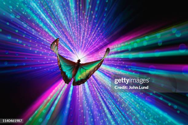 virtual reality butterfly flight - awe concept stock pictures, royalty-free photos & images