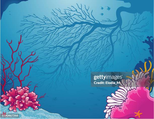 corals of the sea / coraux sous la mer - clown fish stock illustrations
