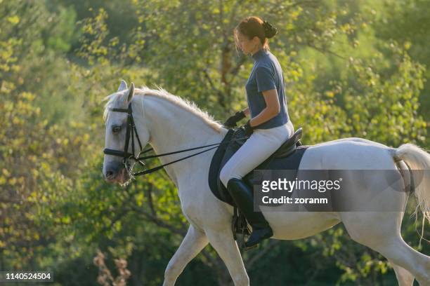 mid adult woman riding horse for exercise - rein stock pictures, royalty-free photos & images