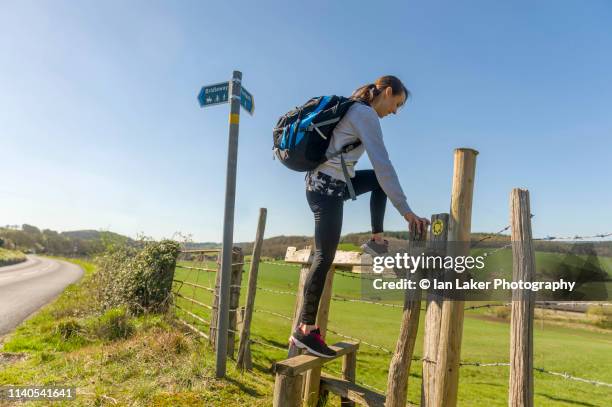 elham valley, barham, kent, england. 24 march 2019. young woman climbing over stile on public footpath. - stile stock pictures, royalty-free photos & images